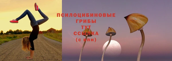 дистиллят марихуана Сосновый Бор