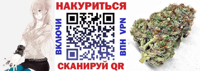 Купить  Сосновый Бор  Канабис планчик 